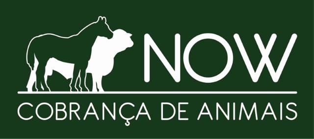 Now Cobrança